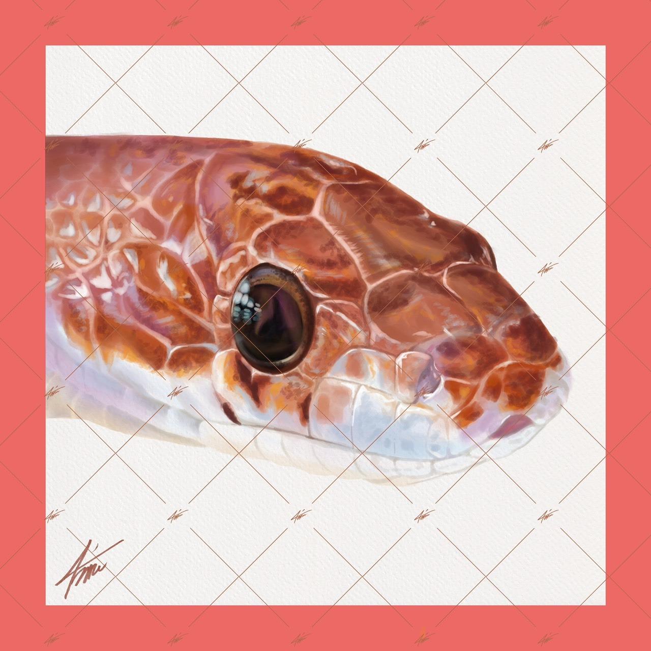 戴圍兜兜的貓 מּ ≋𝒞𝓵𝓪𝓾𝓭𝓲𝓪 𝓛𝓲𝓷 ৲ 4𝓶𝓾 ≋ 5000×5000，300dpi，jpg，RGB