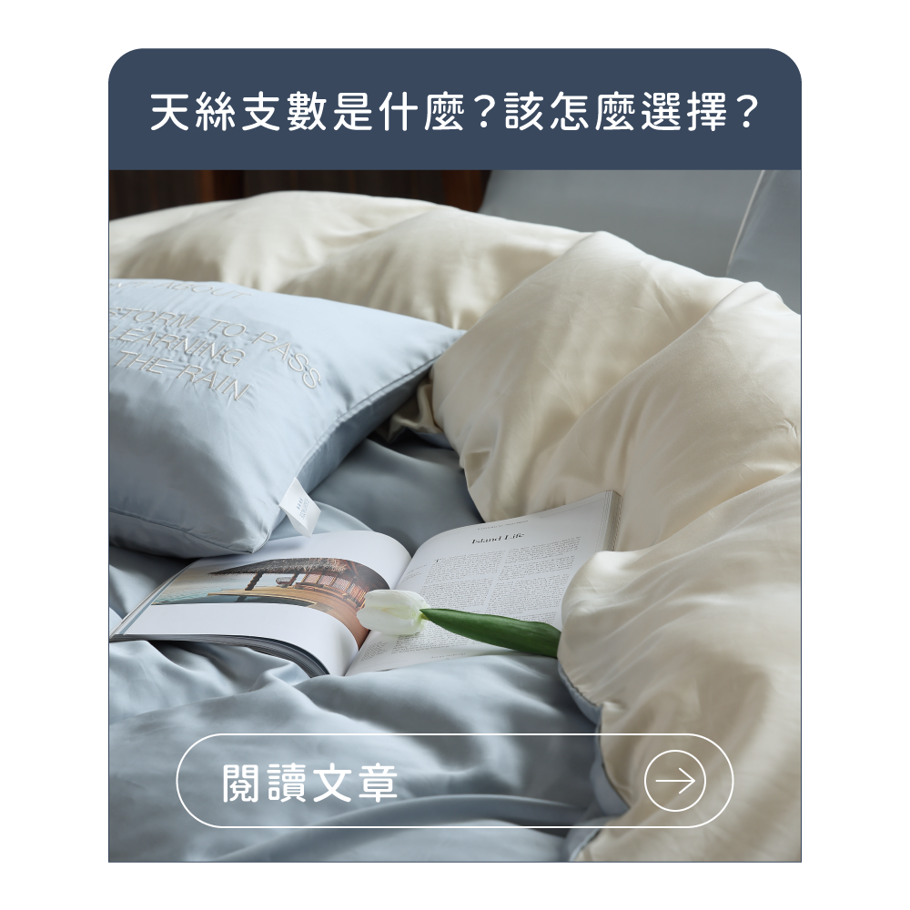 飛航模飾 Flight Mode