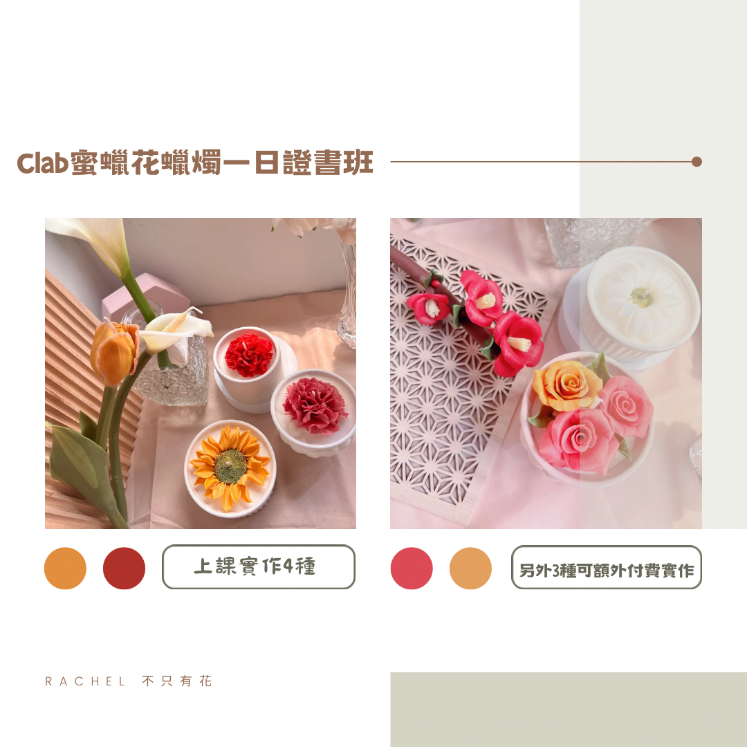 蜜蠟花證書班、蜜蠟花、韓式蠟燭、蠟燭、一日證書課