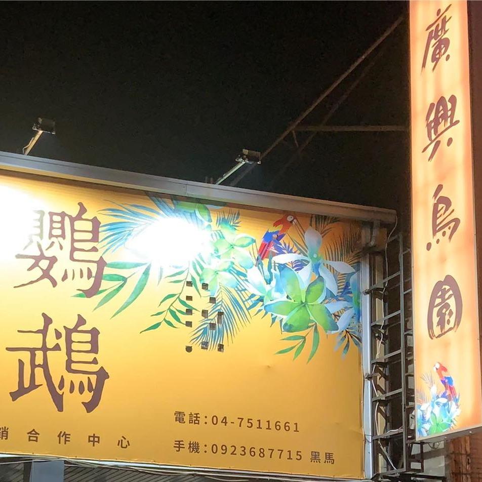 魚雁木坊│鸚鵡寄宿x站台玩具 廣興鳥園