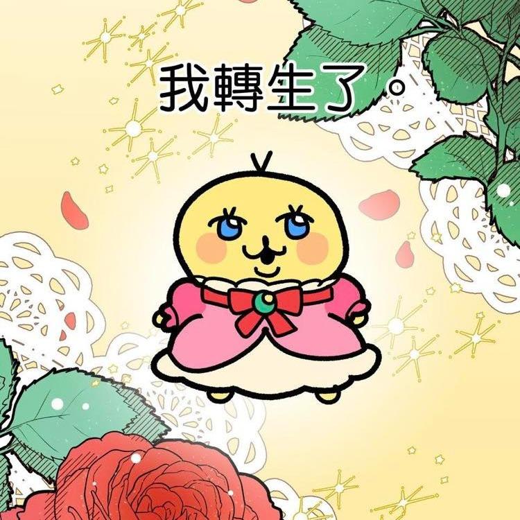 二毛 mojoin合作