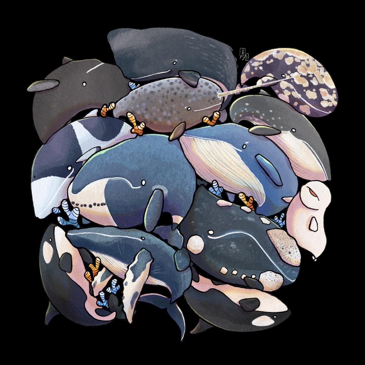圓圈EuDora