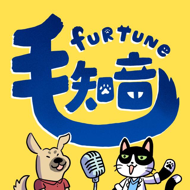 Furtune 毛知音