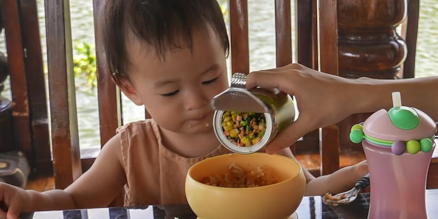 豬豬隊友 Scott & Wendy 飯友常溫寶寶粥、燉飯｜8/3 結團