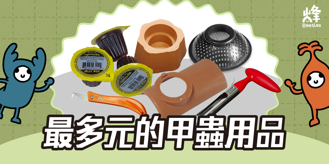 峰甲蟲工作室 點我購買