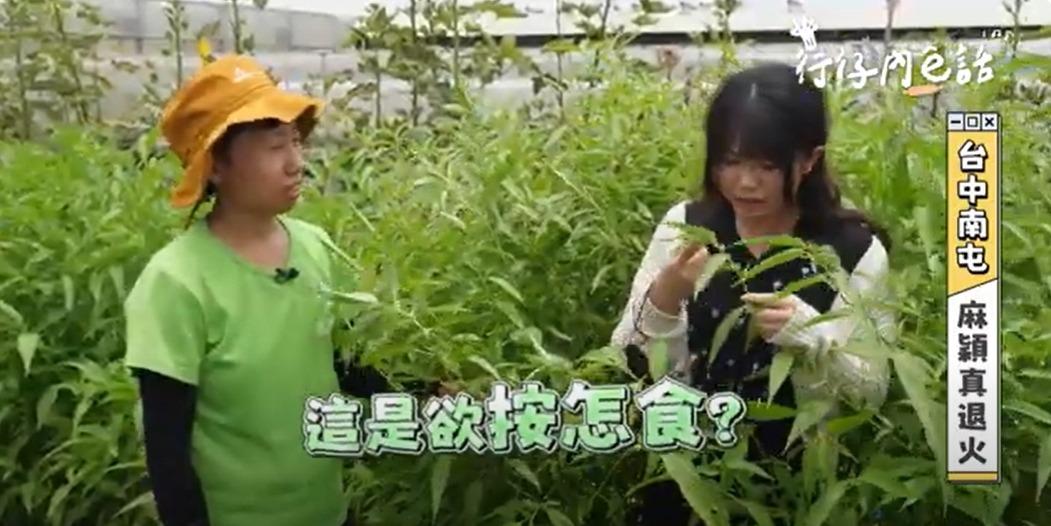 阿雞 公視-行仔內e話