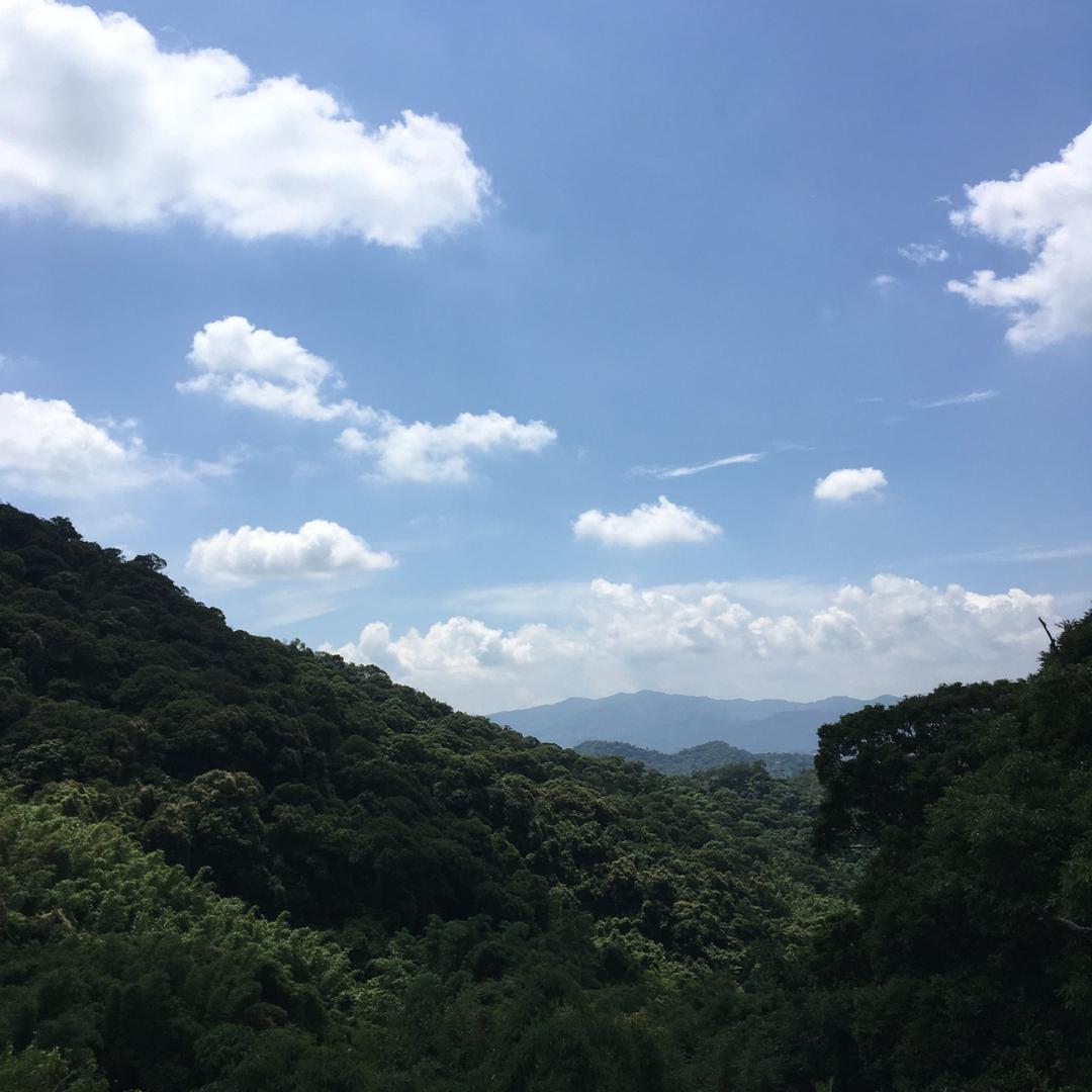 心星相櫻 理想生活相談所 學習讓心靜下來，感受更多美好