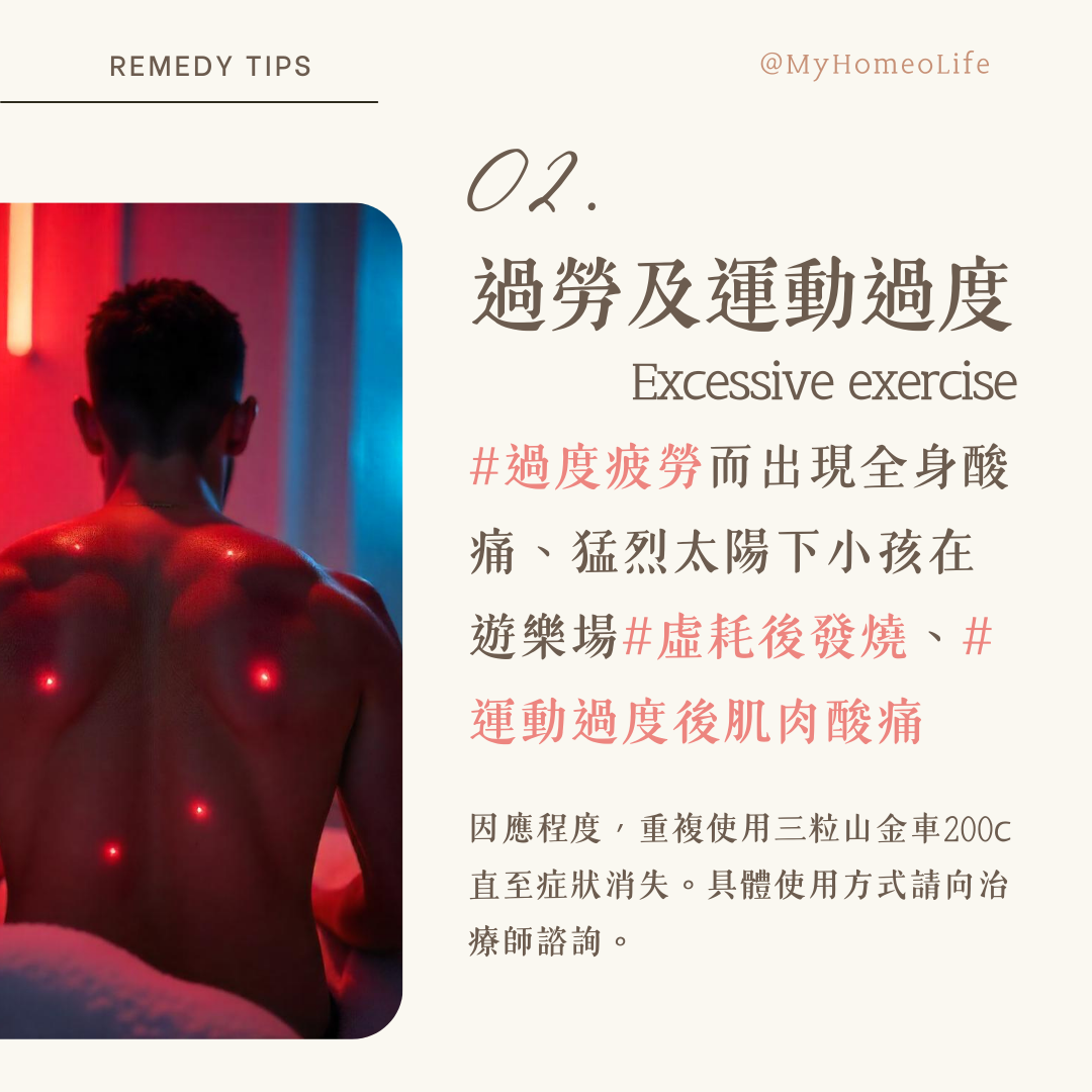 山金車 Arnica 順勢療法 homeopathy