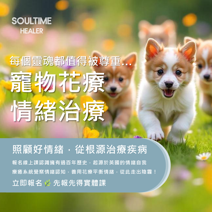寵物古典花療實體課