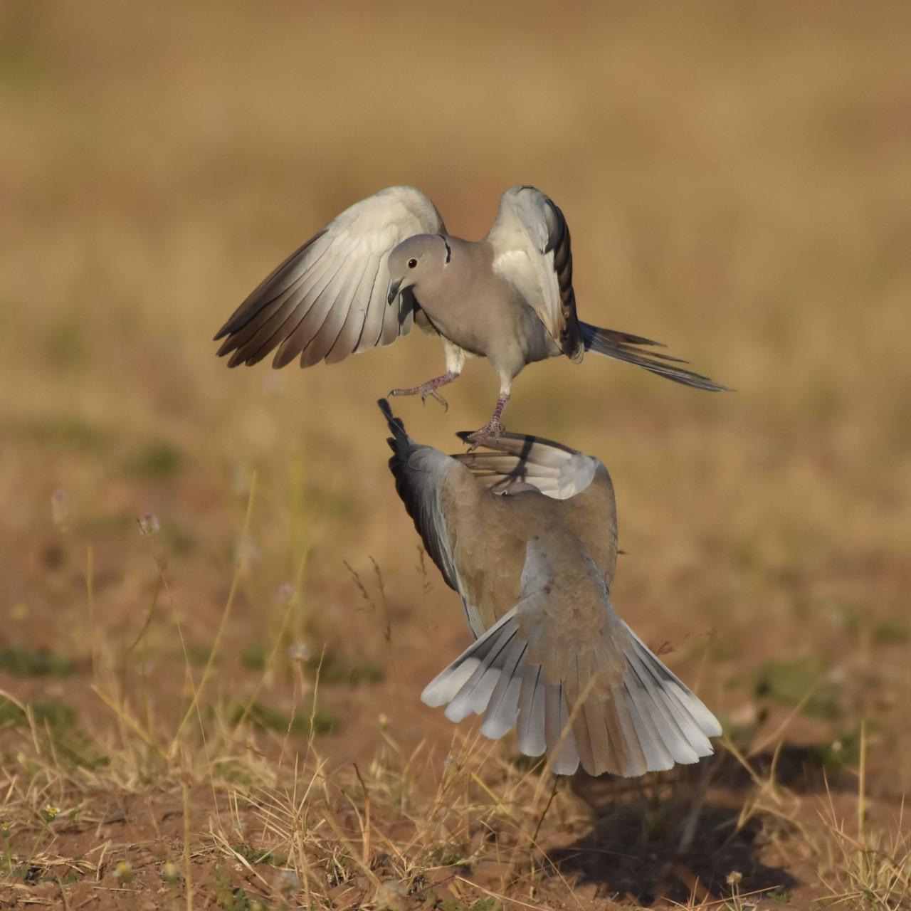李喬晴 藥師 如何突破無法溝通的僵局—   學員心得2
