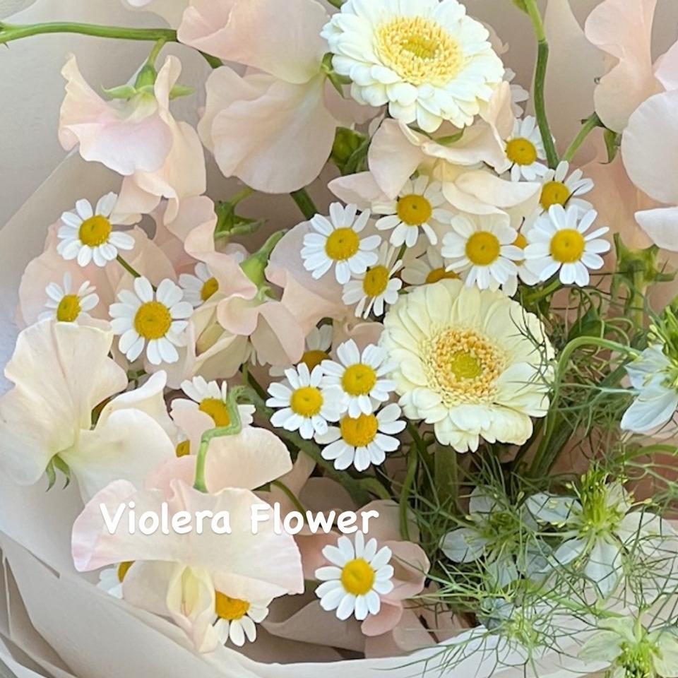 𝙑𝙄𝙊𝙇𝙀𝙍𝘼 𝙁𝙇𝙊𝙒𝙀𝙍 I LOVE YOU MORE