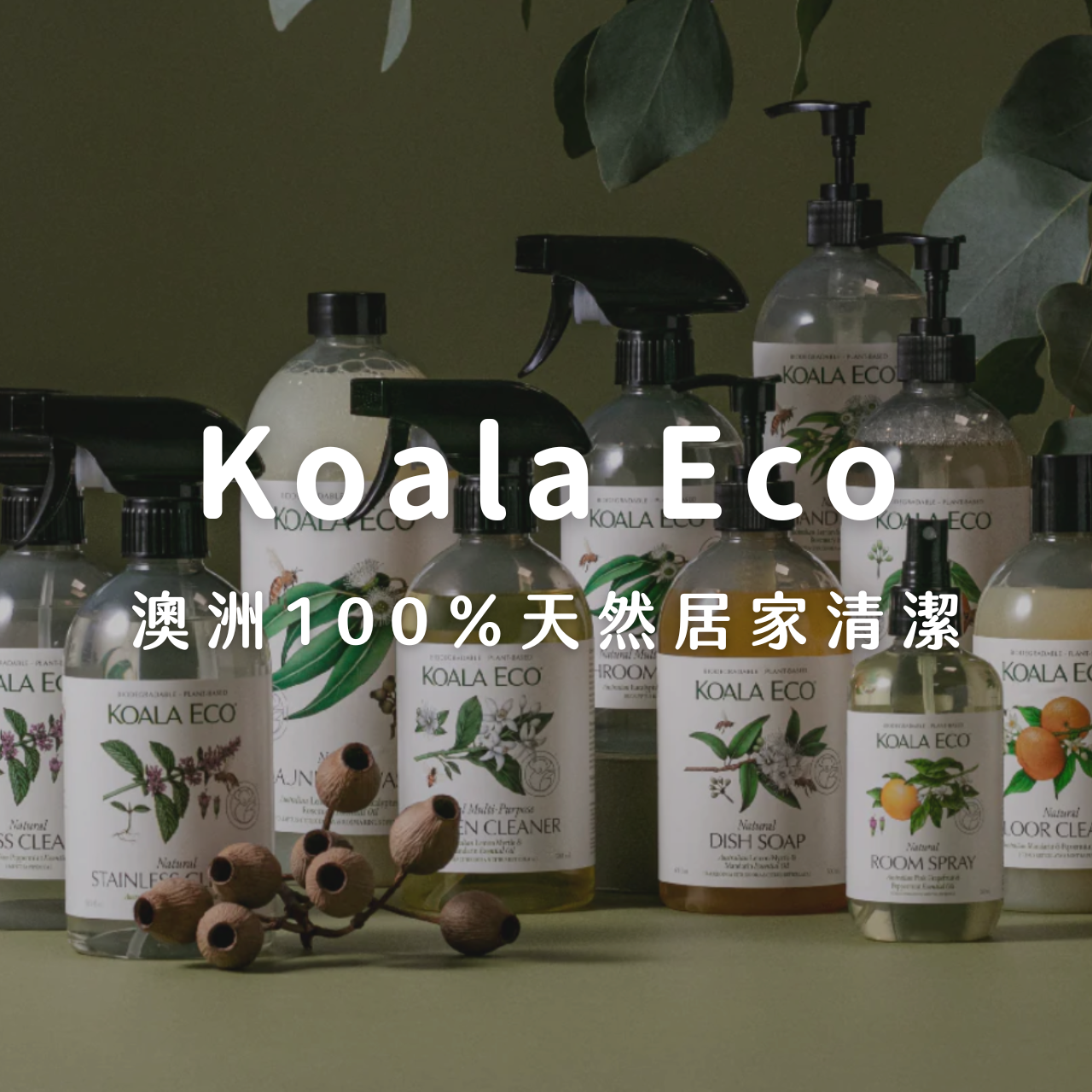 Colly 簡約生活 🐨 3月底開團