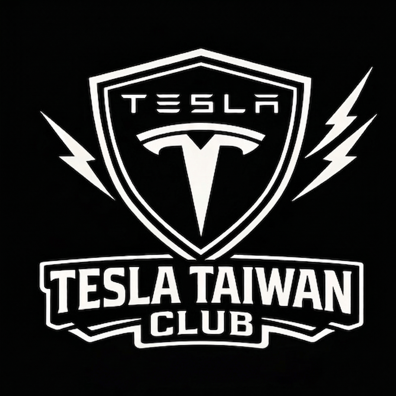 特斯拉TW車主交流群