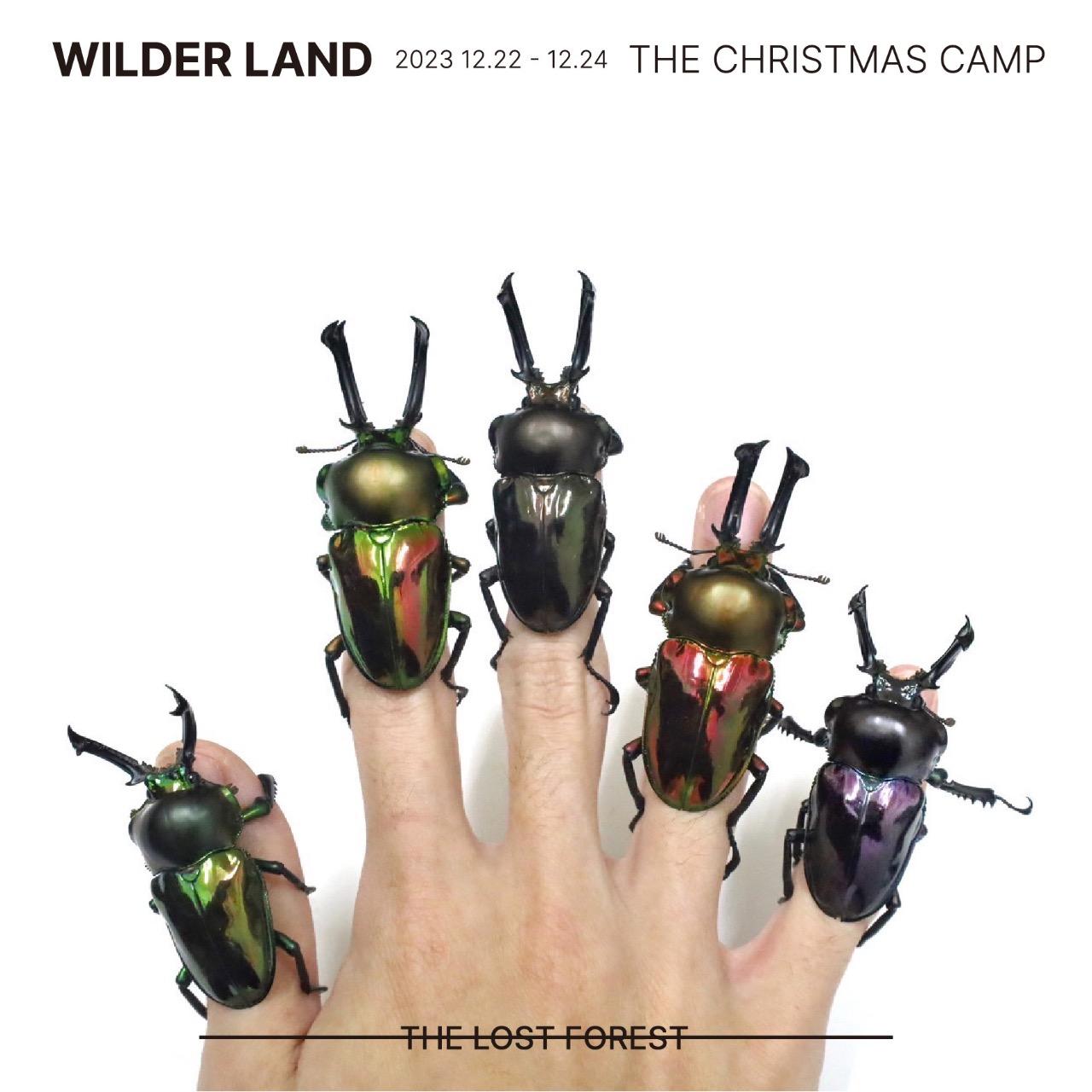 2023 WILDER LAND