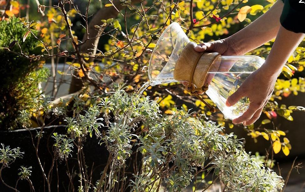 🥇NEC19 🎖 水晶顯化創造人 Creator