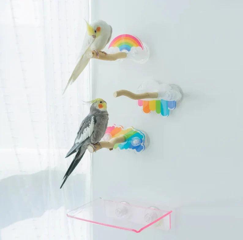WinnieTheBirds Toy Shop 17x6cm Rainbow Theme Acrylic Parrot Window Bird Wooden Perch Stickers