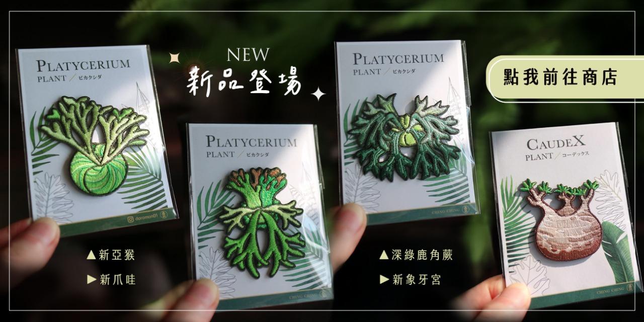 青青小樹