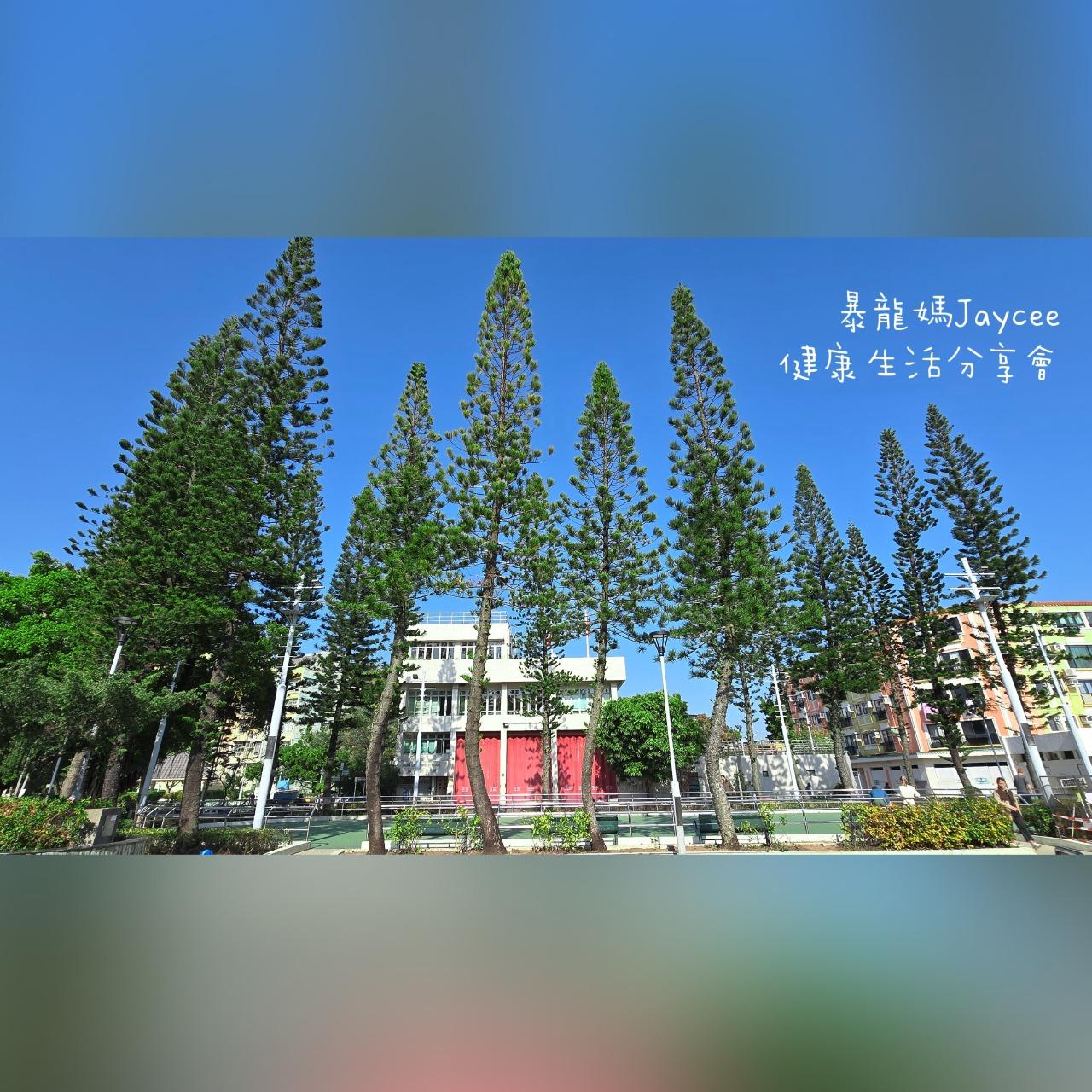 🇭🇰Jaycee暴龍媽@暴龍分享會