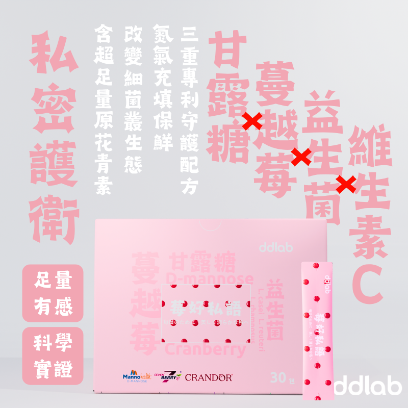 ddnotebook COMMING SOON 即將上市，敬請期待