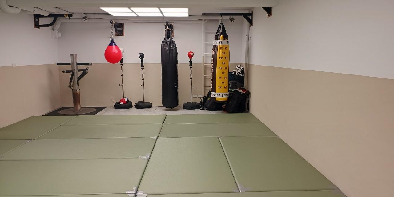 良夜 


108式楊氏太極拳教學