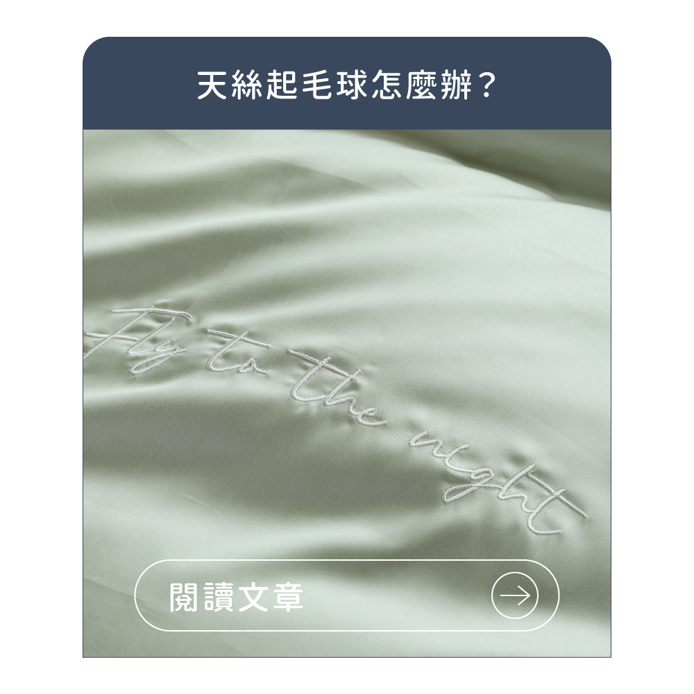 飛航模飾 Flight Mode