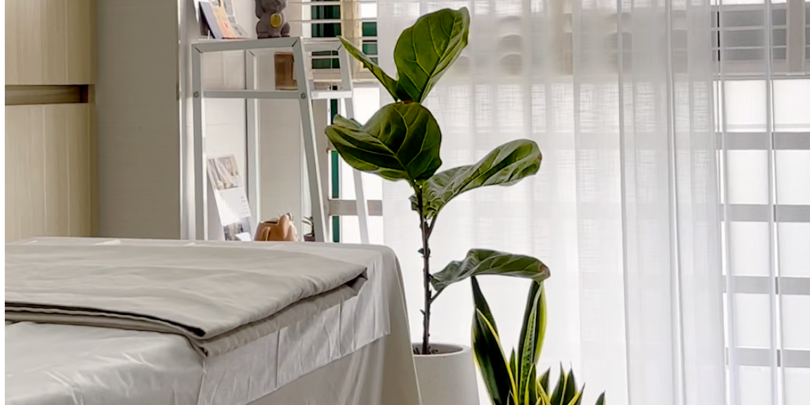 熊熊子|專業製眉 溫馨工作室