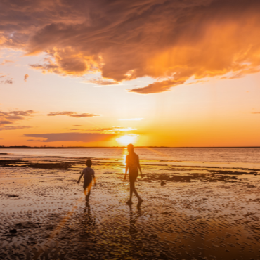 書評撰寫《和解練習》
