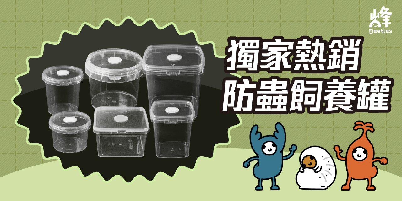 峰甲蟲工作室 點我了解更多