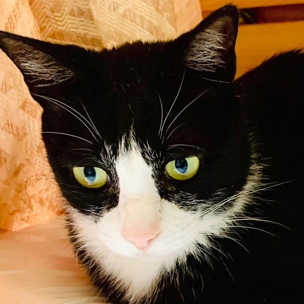 Kuro Huang｜獨立資安顧問服務｜Freelancer｜部落客｜資安架構顧問｜資安策略顧問｜雲端安全顧問｜資安教育訓練 我的個人網站