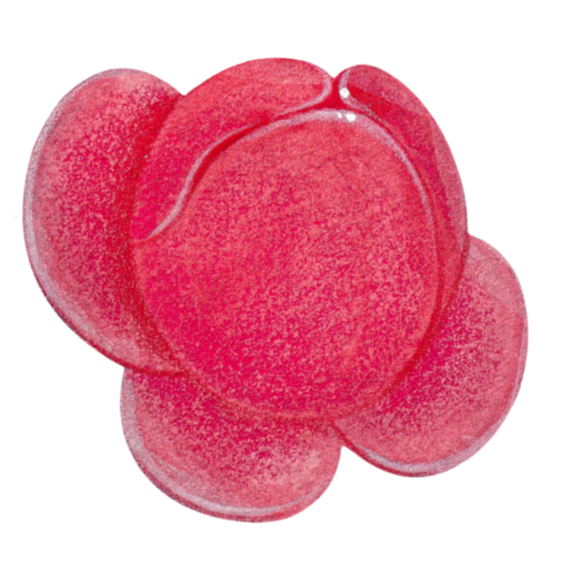 🍪台南藝博 / 購票連結🍪