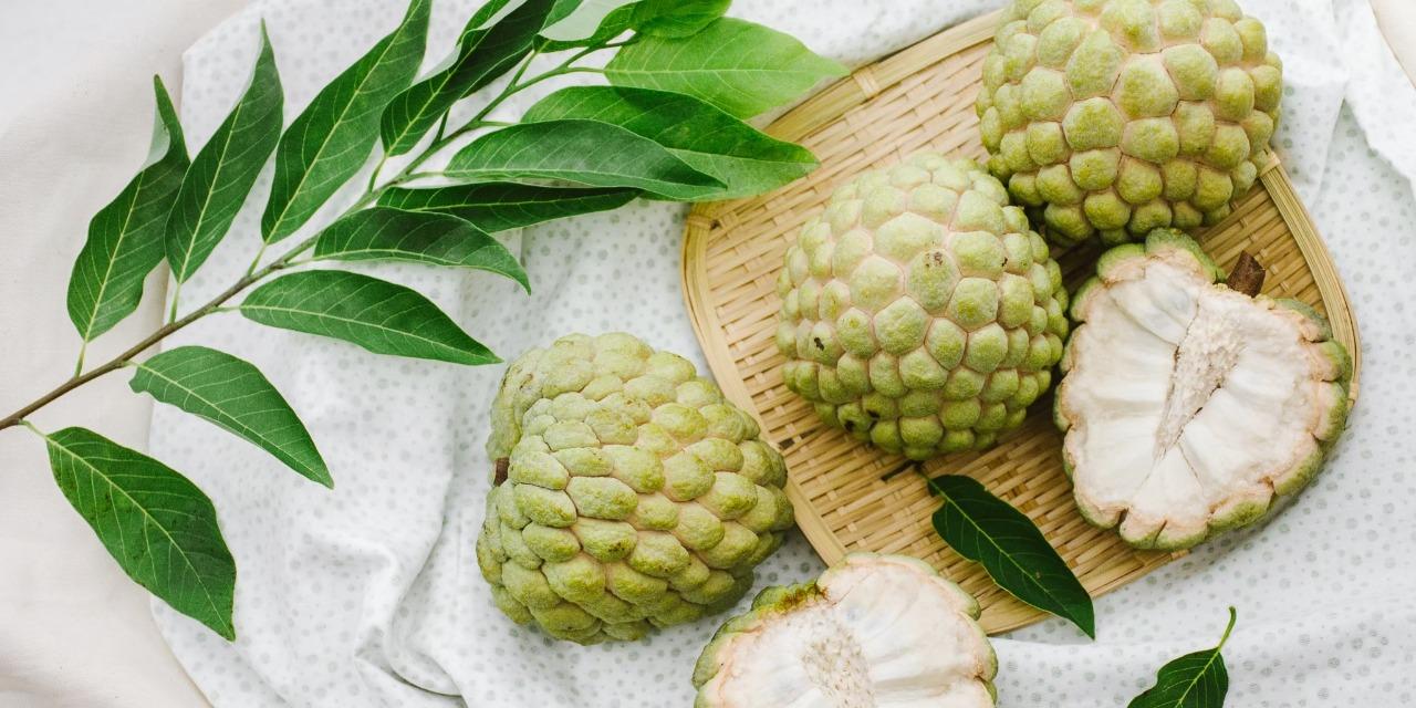 好時果子，台東釋迦專賣店 台東大目釋迦🎖️預購中（12月下旬開始出貨）