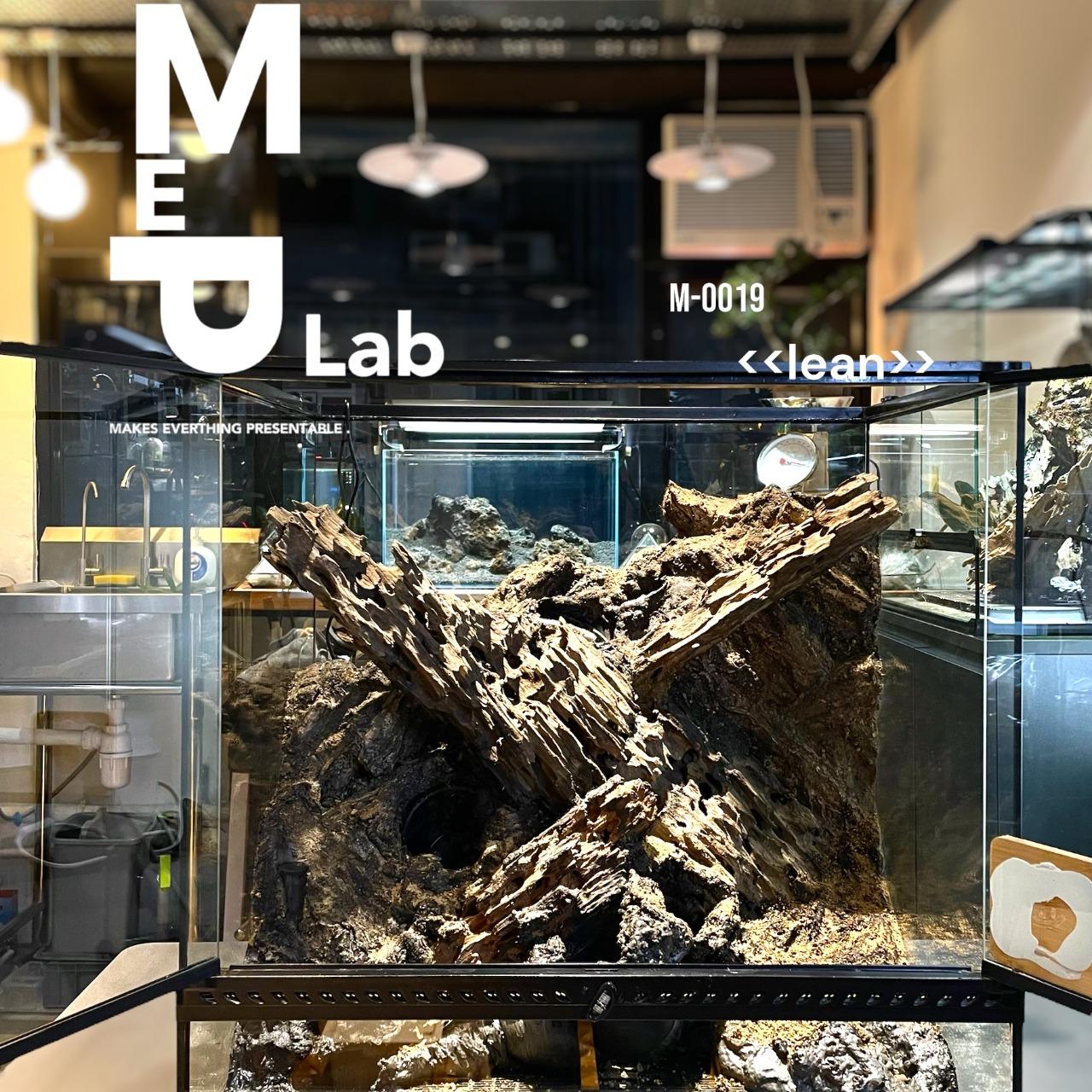 MeP Lab