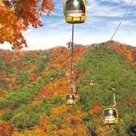 釜山賞楓五日-點我查看行程