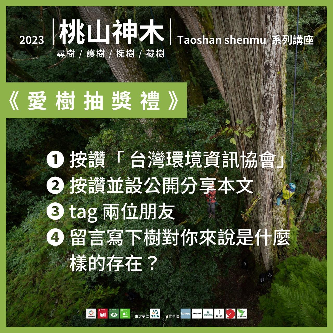 桃山神木｜撞到月亮的樹 點選參加抽獎
