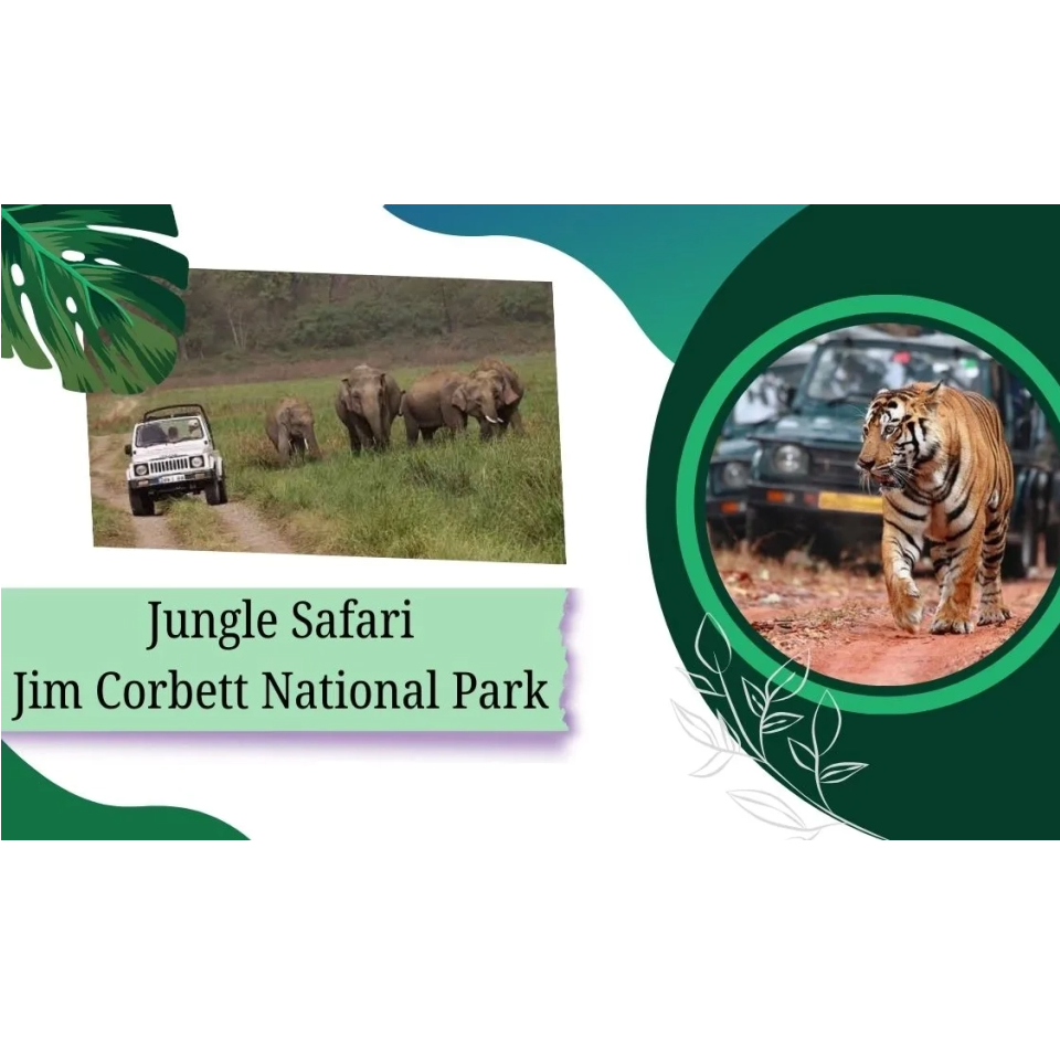 Jim Corbett Jungle Safari – All Details