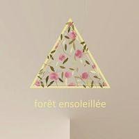 HITHERE 職人國寶茶 森晴甜坊 Forêt ensoleillée