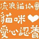 協會的貓咪們(想養貓&關心的朋友必看)