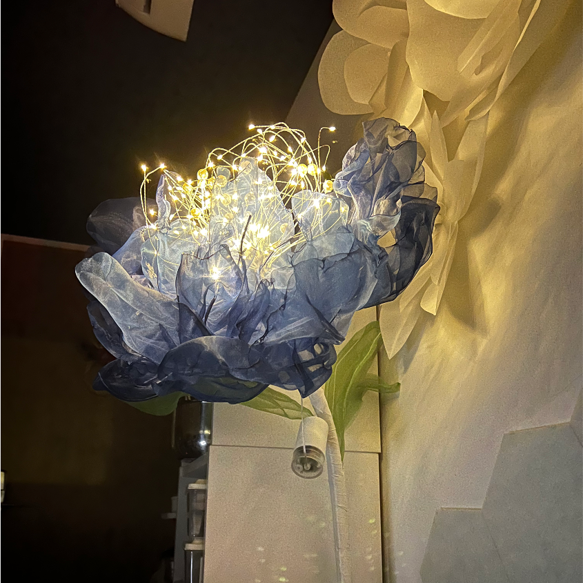 巨型紙花、紙花藝術、芍藥燈花、芍藥夜燈、韓國證書課