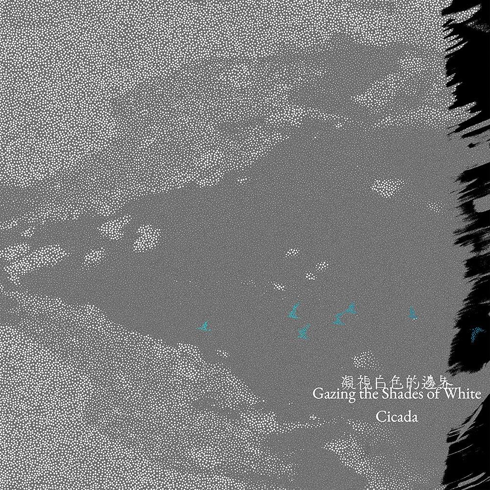 WINDIE Music 凝視白色的邊界