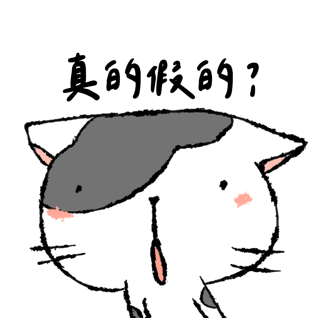 聯繫DKDI掃商業邀約合作 hello.unclecorn@gmail.com