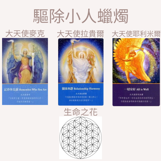 Alice 愛麗絲🔮紫微塔羅