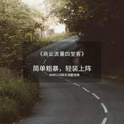 《商业流量四堂客》