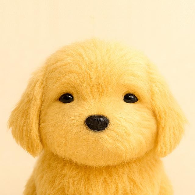 紐約狗狗 kesanitw