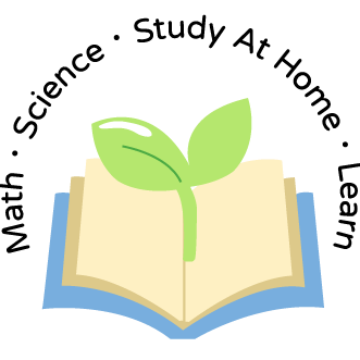 若芽 / 馮馮 能墨教育