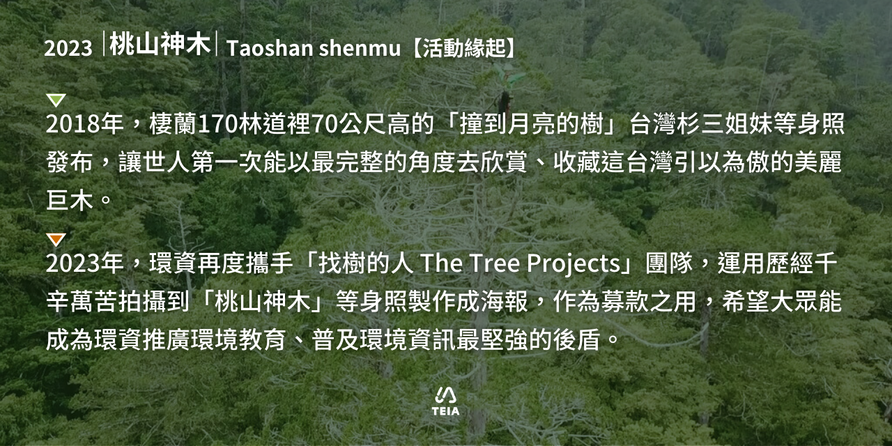 桃山神木｜撞到月亮的樹