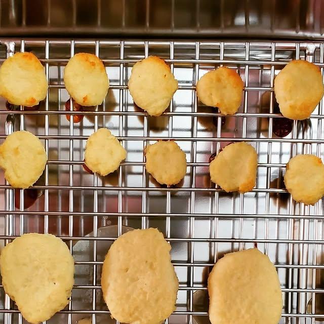 🇭🇰Jaycee暴龍媽@暴龍分享會