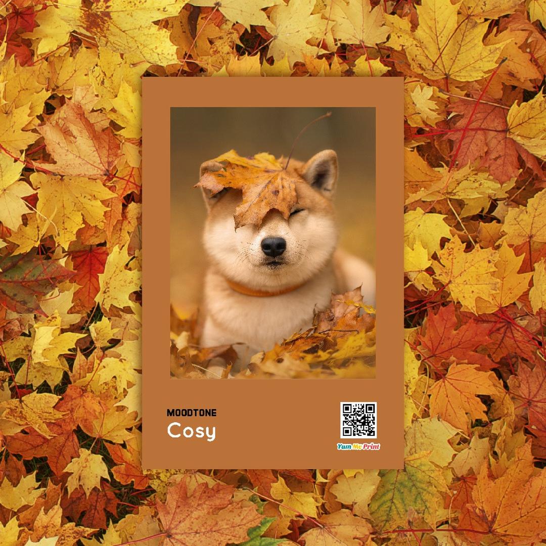 Yum Me Print MOODTONE - Cosy 相框