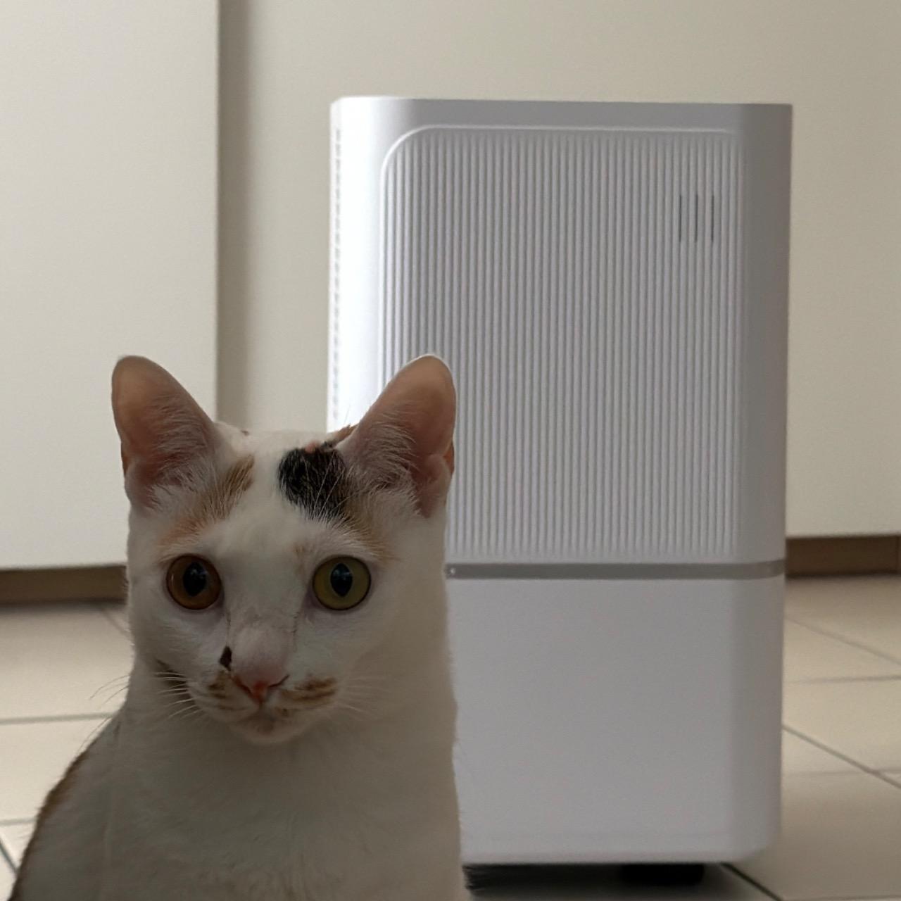 Sansui🐈 除濕機/吸塵器