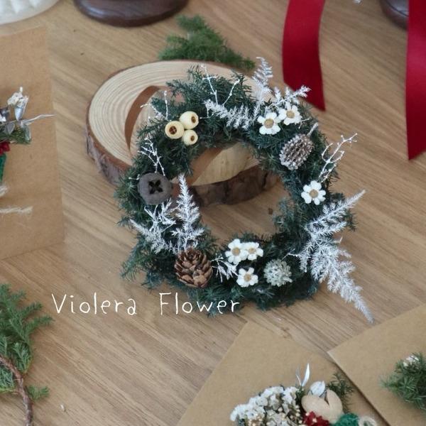 𝙑𝙄𝙊𝙇𝙀𝙍𝘼 𝙁𝙇𝙊𝙒𝙀𝙍