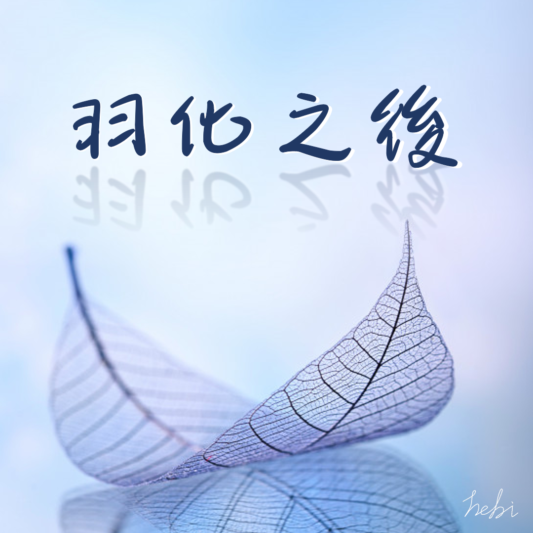 小蛇hebi 青春校園成長愛情戀愛原創小說黑道羽化蝴蝶